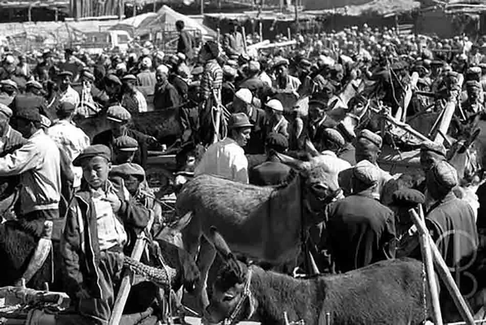 赶巴扎视频大全,赶巴扎时间表