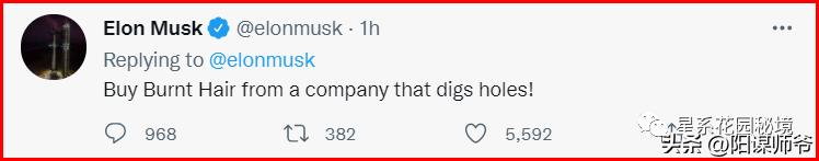 马斯克没有钱之前做什么,马斯克再次带货