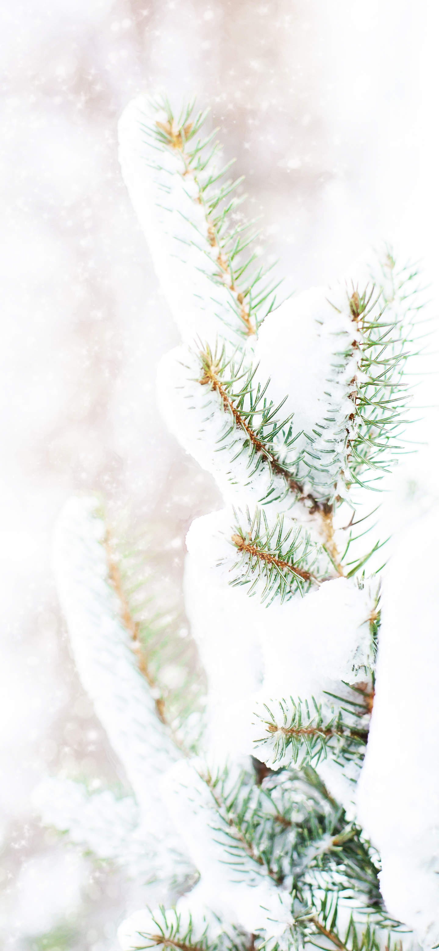 雪天唯美壁纸,雪天壁纸手机高清全屏