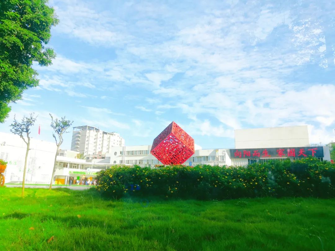 2018年小学一年级招生范围,师上学校小学部招生电话