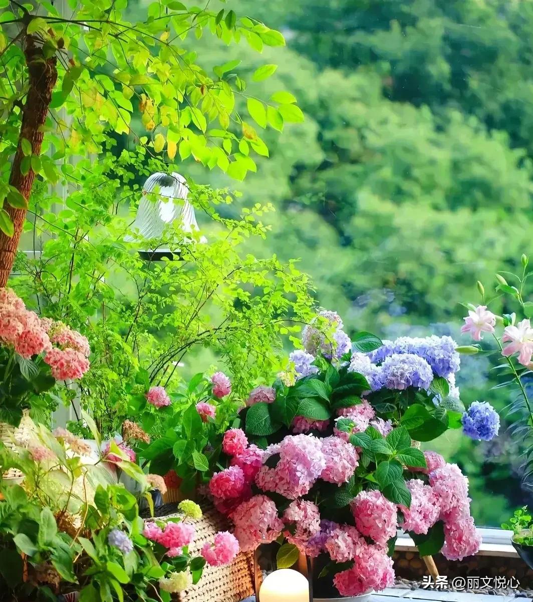 思辩的寓意,思辨能力是什么