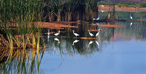 江苏的冷门景点排名,江苏比较冷门但是好玩的地方
