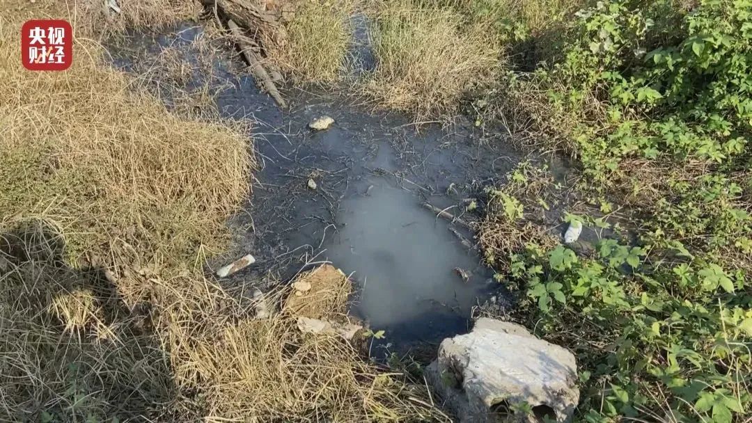 邓伦*税逃**，只是开始，更恶心的在后面