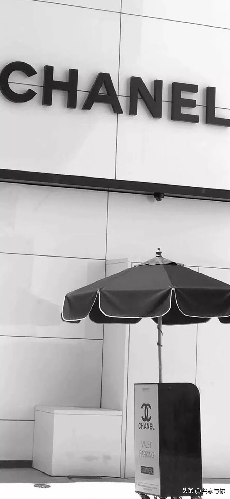 壁纸分享ins风简约高级感壁纸,壁纸ins风高级质感壁纸