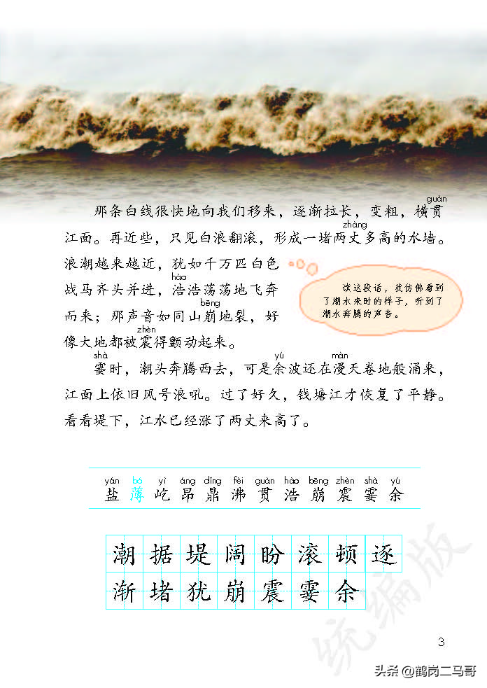 暑假预习资料小学,四年级下册语文课本第17课预习