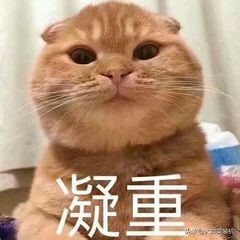 微信版本更新竟有如此多亮点,微信这次更新用起来更爽了