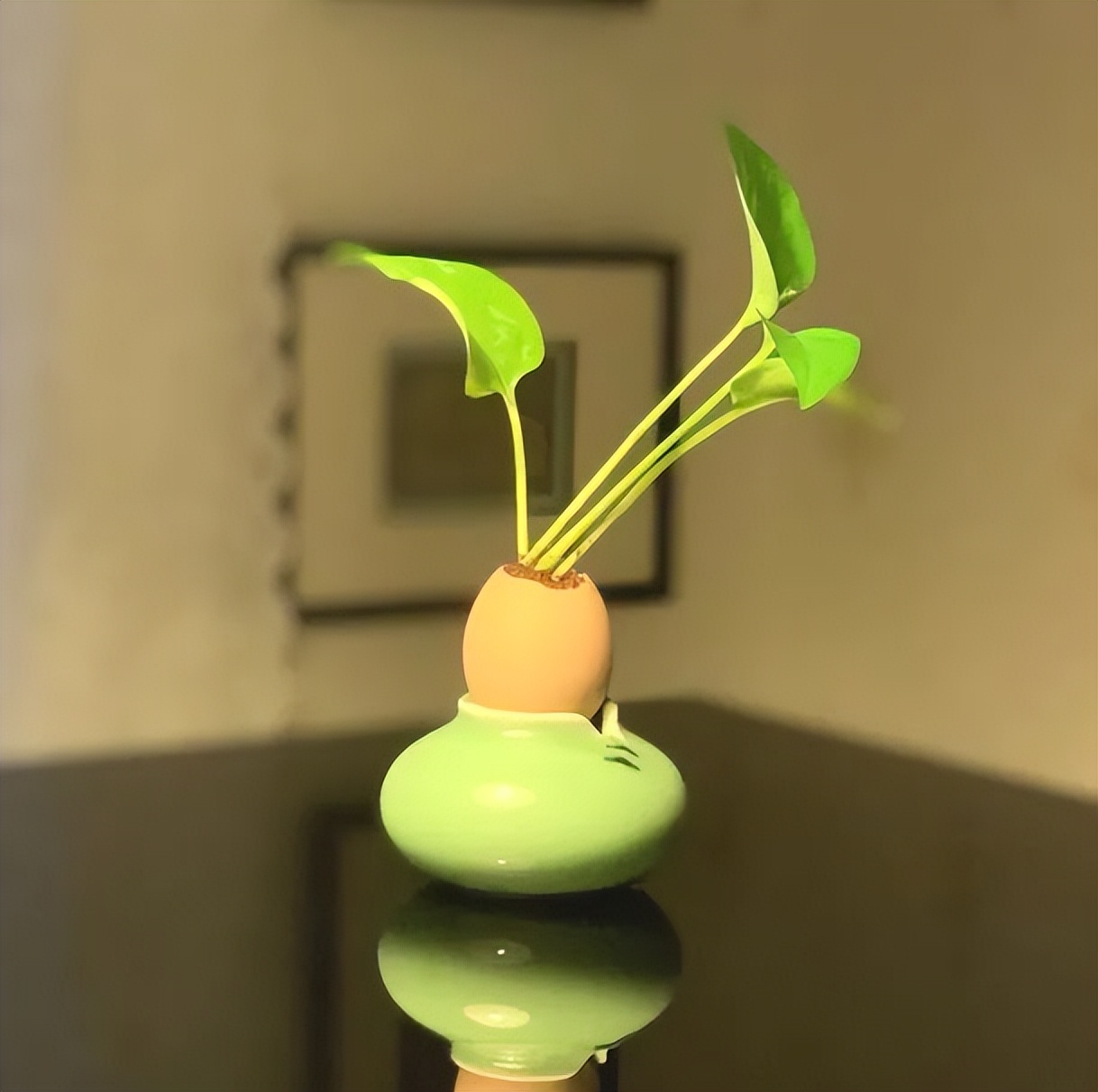 缅怀追思品味清明—无锡市新吴区江溪小学