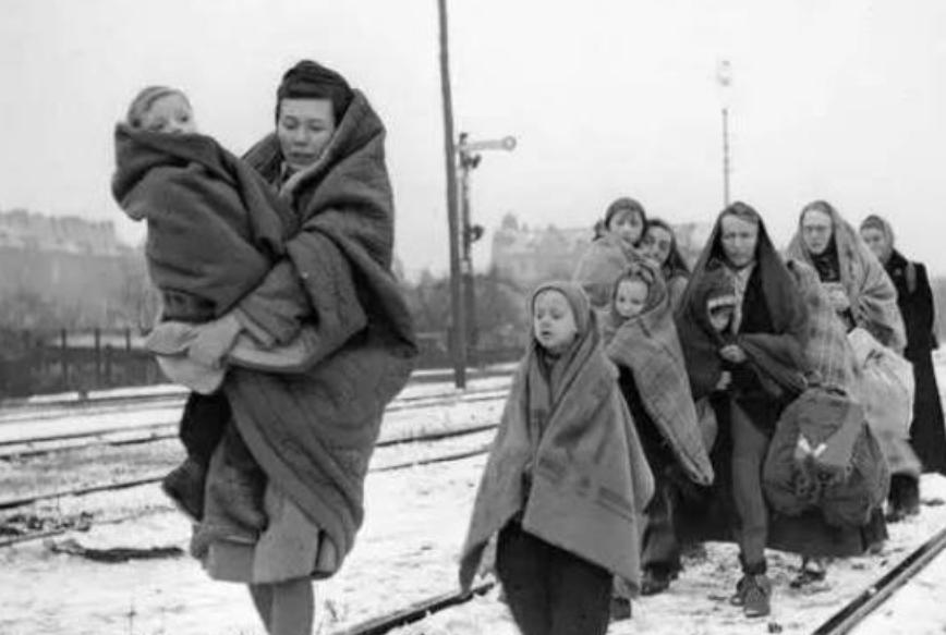 二战后德国如何恢复人口？希特勒一妙招被世界广泛使用