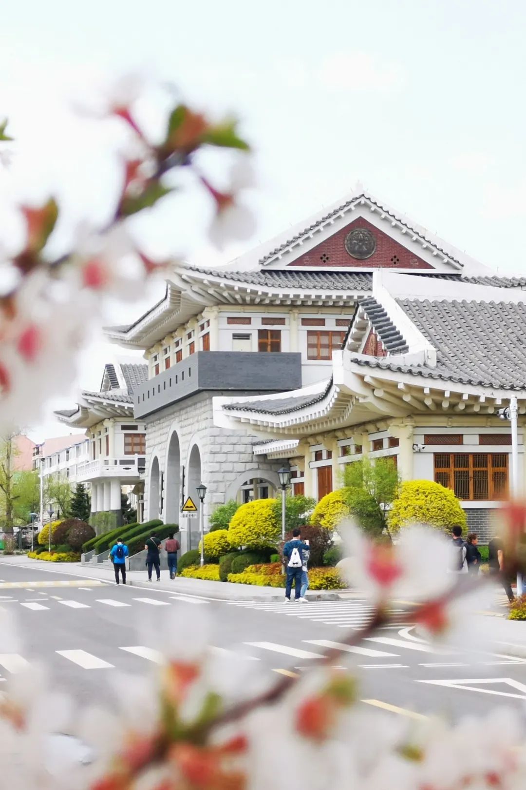 吉林延边和韩国语言一样吗,吉林延边为什么是朝鲜族