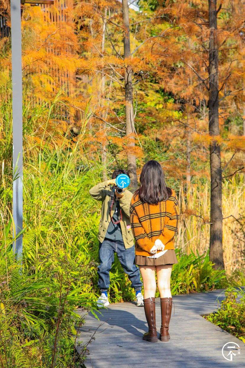 深圳4个绝美海岛,深圳值得游玩的小岛