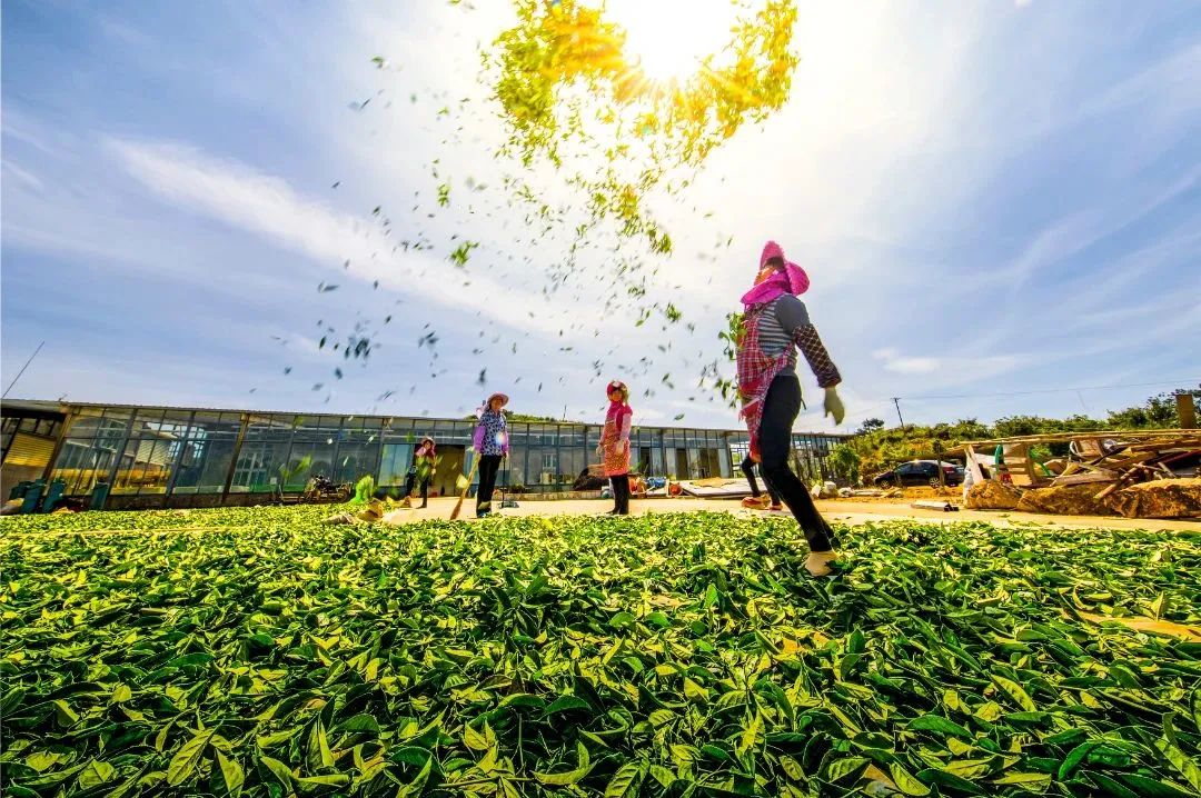 2023年春节厦门旅游现状,春节去厦门过年怎么过