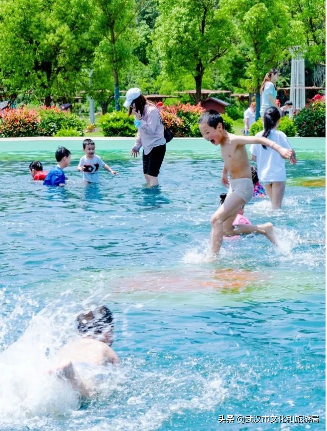 六一+端午的超级快乐将被这里承包，亲子水乐园+多彩绣球花，免费畅玩打卡，游玩攻略请查收
