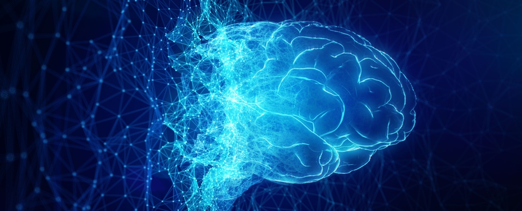 大脑发现神秘区域,大脑的神秘现象