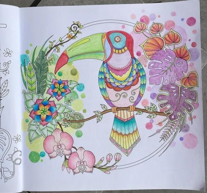 100幅初学者彩铅画花卉,100张新手彩铅临摹图片