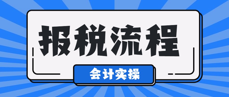 一般纳税人申报的基本操作细节流程,纳税技巧与申报实训报告