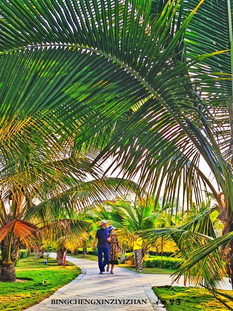 旅居海南：九所新区的浪漫情