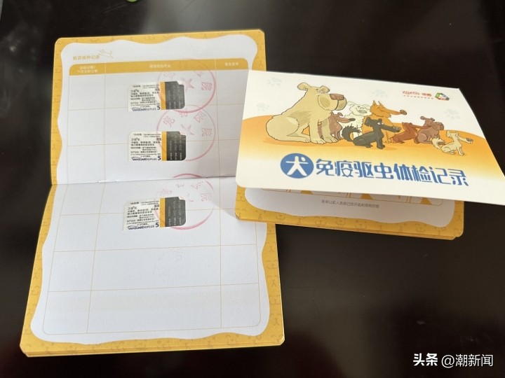 宠物线上代购主播的一出“好戏”背后圈套：谁演得好谁就赚得多