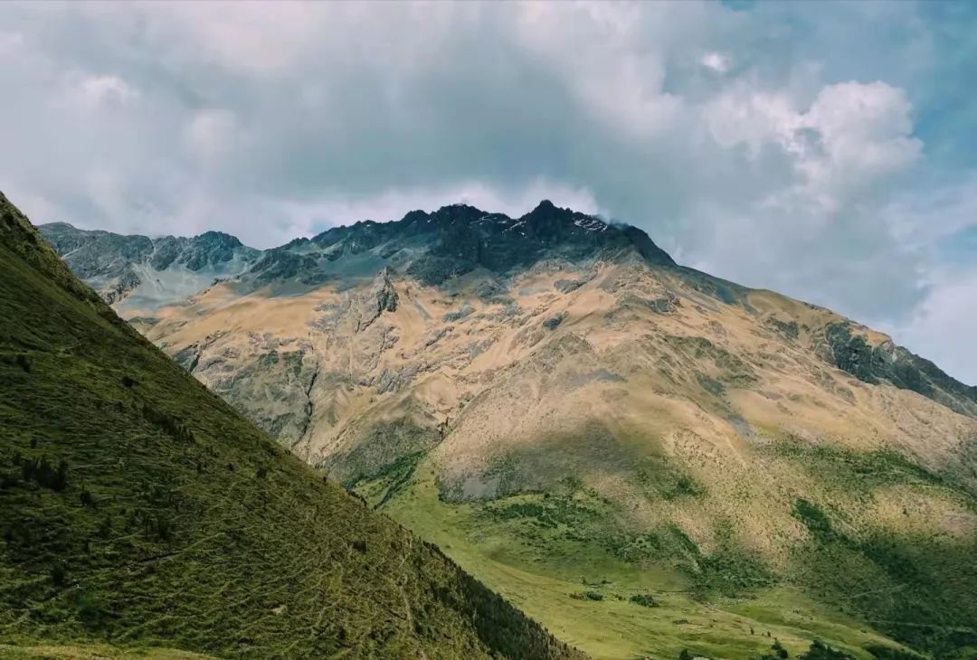 智利进口水果安全么,怎么才能了解进口水果的行情