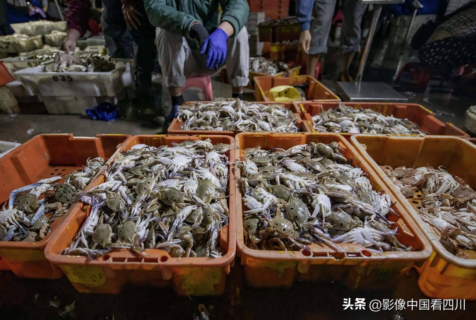 海南陵水新村疍家渔港,海南陵水水产市场
