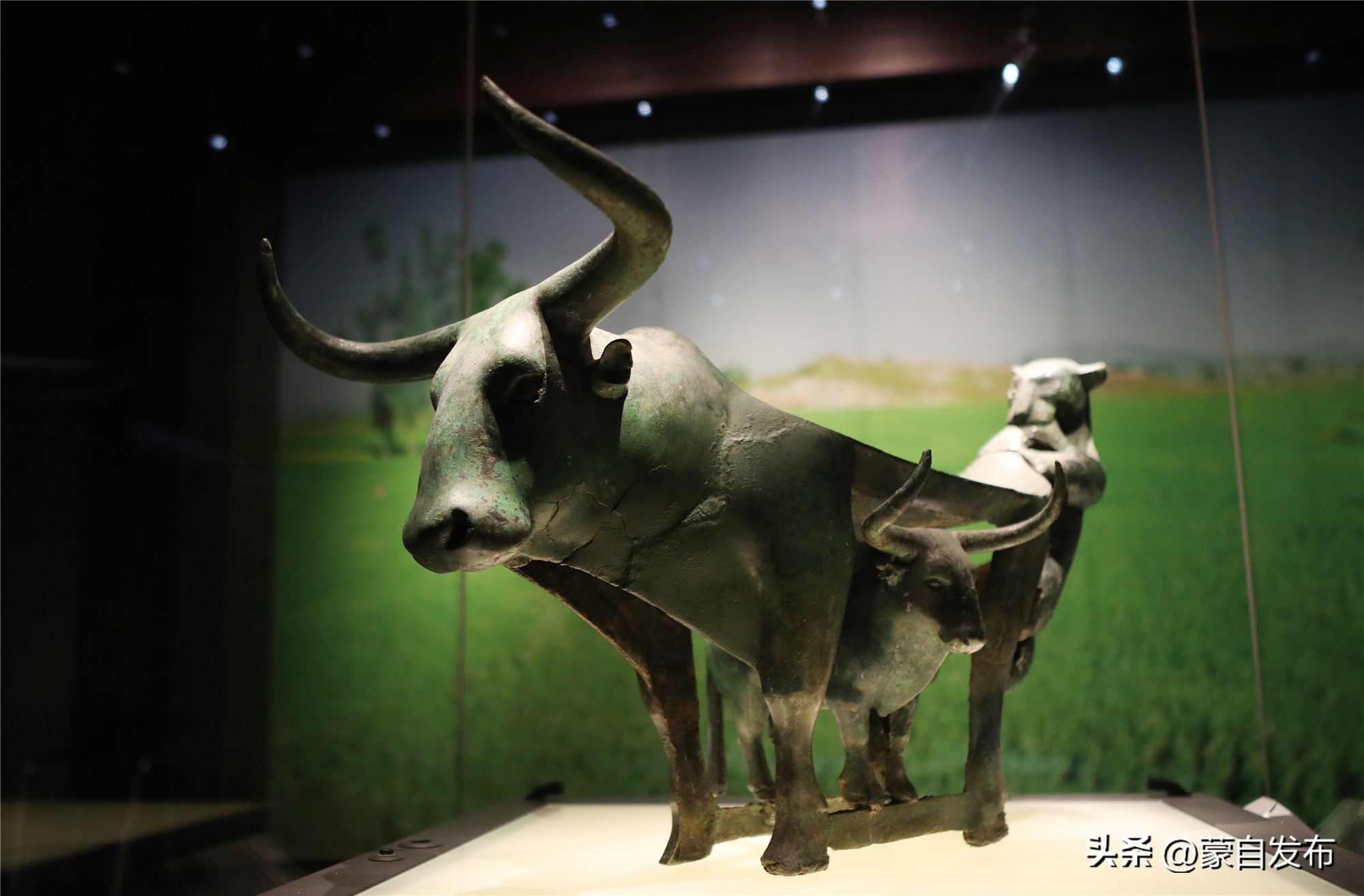 2023全国*会两**特别策划①丨这里是云南——文明之源