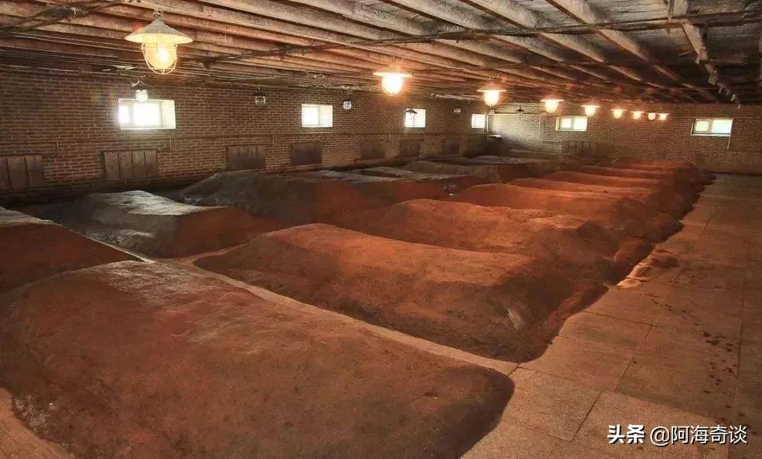 洋河股份和洋河酒集团哪个好,洋河白酒业现状