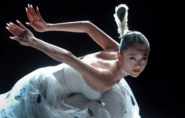 杨丽萍单身经历,杨丽萍自述不结婚原因