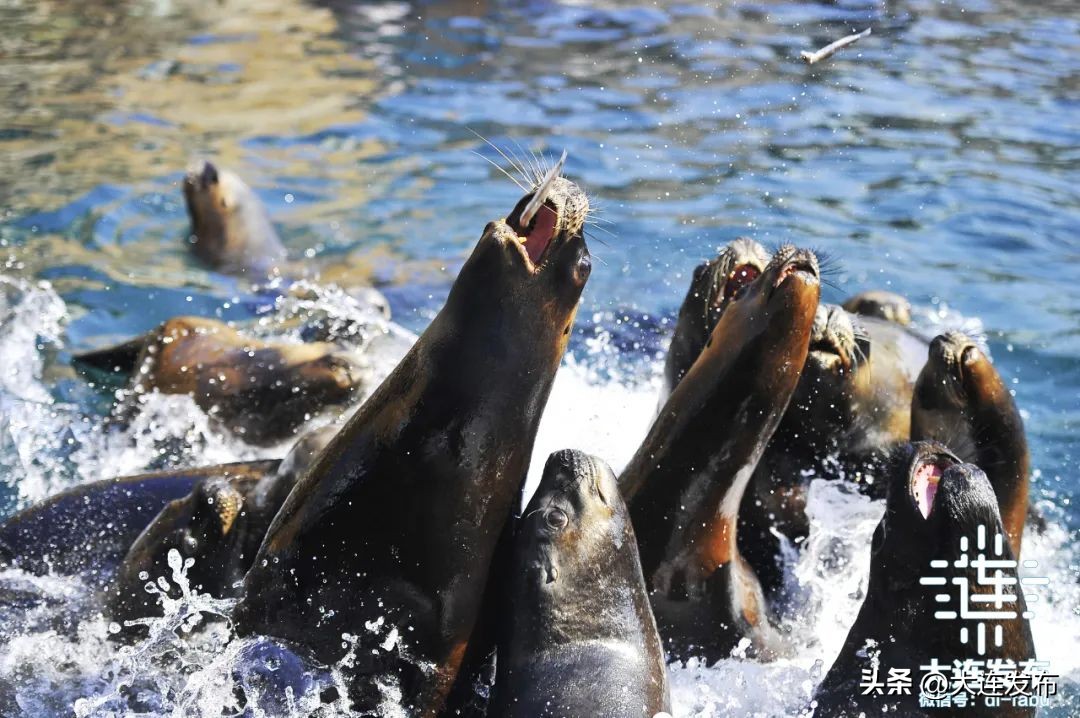 最新旅游景区发展,杭州大明山风景区五一攻略