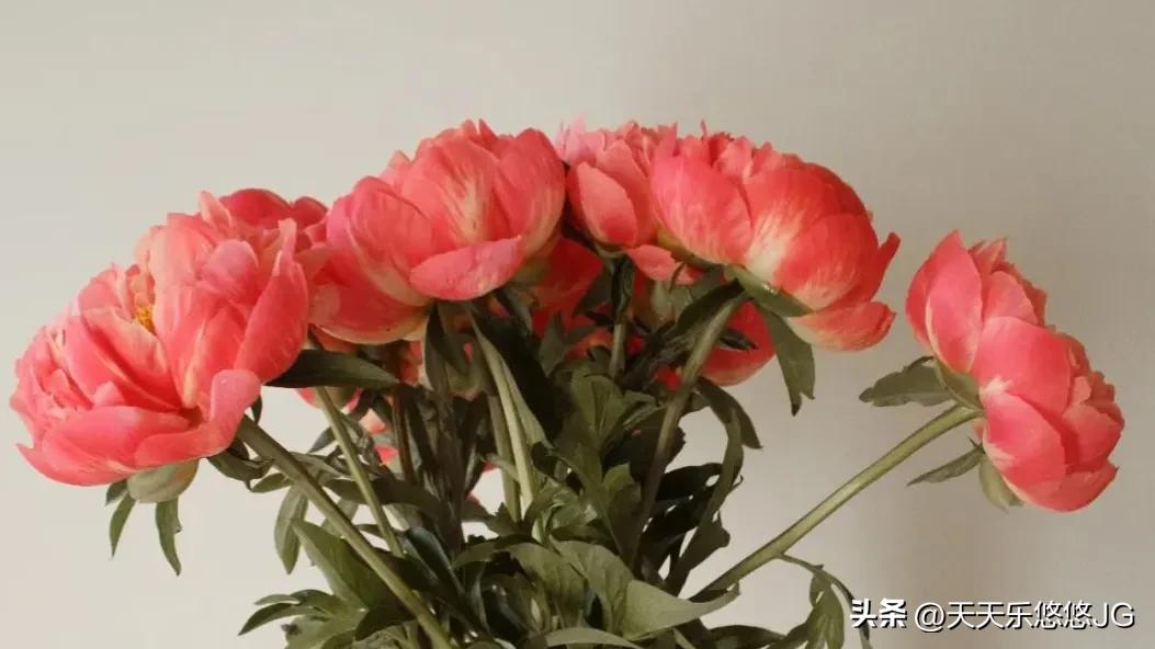 微贷技术,微贷技术的核心