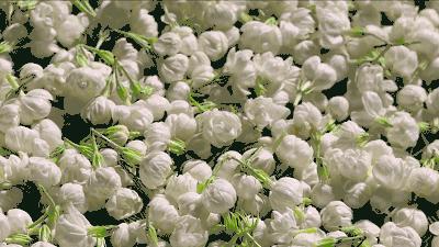 中国经济实力最强的10个县,中国经济实力第一县