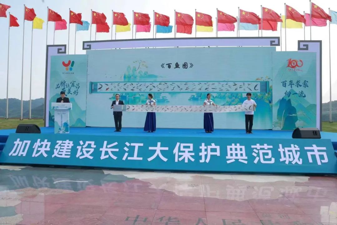 紧急提醒最近千万不要碰什么,野生蘑菇中毒高发季勿采勿食