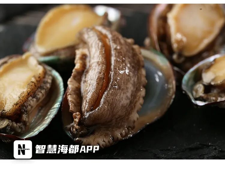 定了！马上开始！