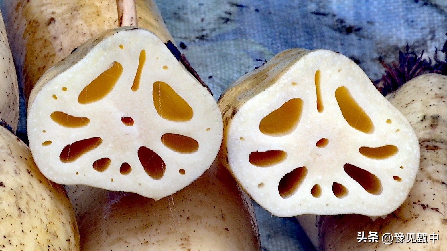 陕西商洛旅游攻略一日游,商洛旅游攻略一日游必去十大地方