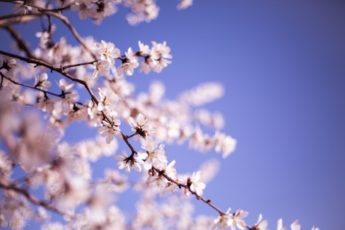 人生为什么会觉得无趣,当你觉得人生无趣