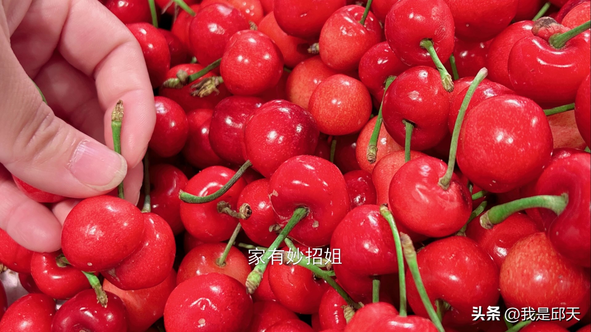 樱桃怎么清洗才干净无农药残留,樱桃树叶有黑色虫卵怎么处理