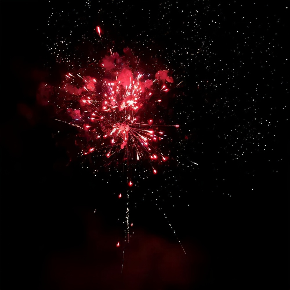 诗意新年壬寅新年翩然至十首佳作贺新春