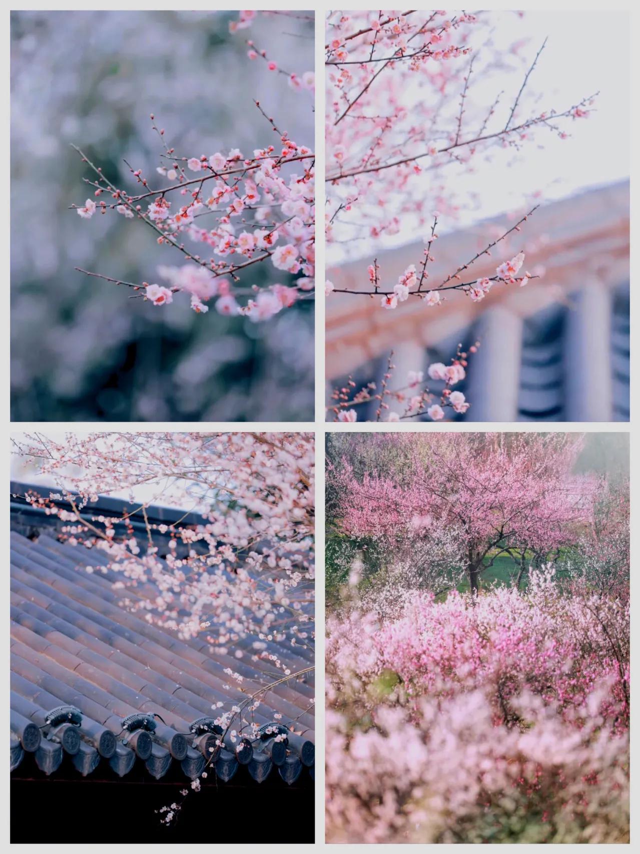 苏州儿童网红打卡地有哪些,苏州网红打卡地先后顺序