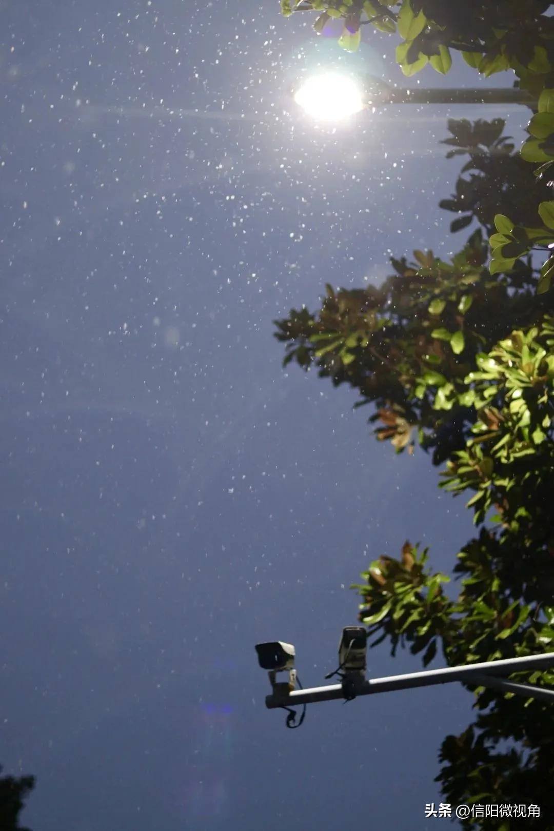 信阳师范大学：建设高水平师范大学，我们始终在路上