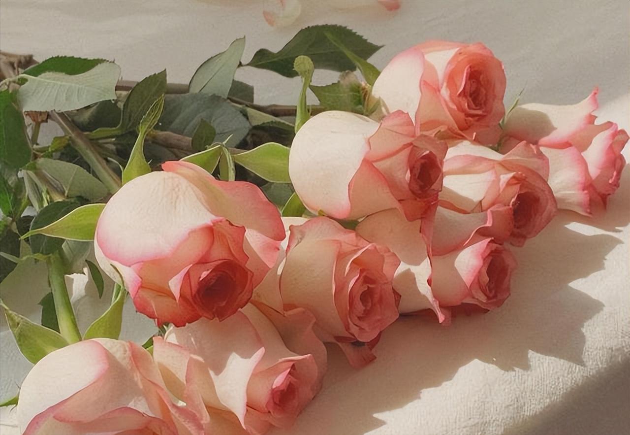 想让女人对你爱不释手,如何让女人对你情不自禁