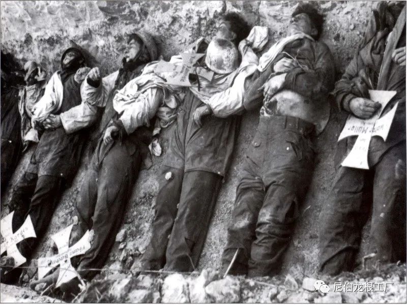 好收吾骨瘴江边全诗,好收吾骨瘴江边翻译