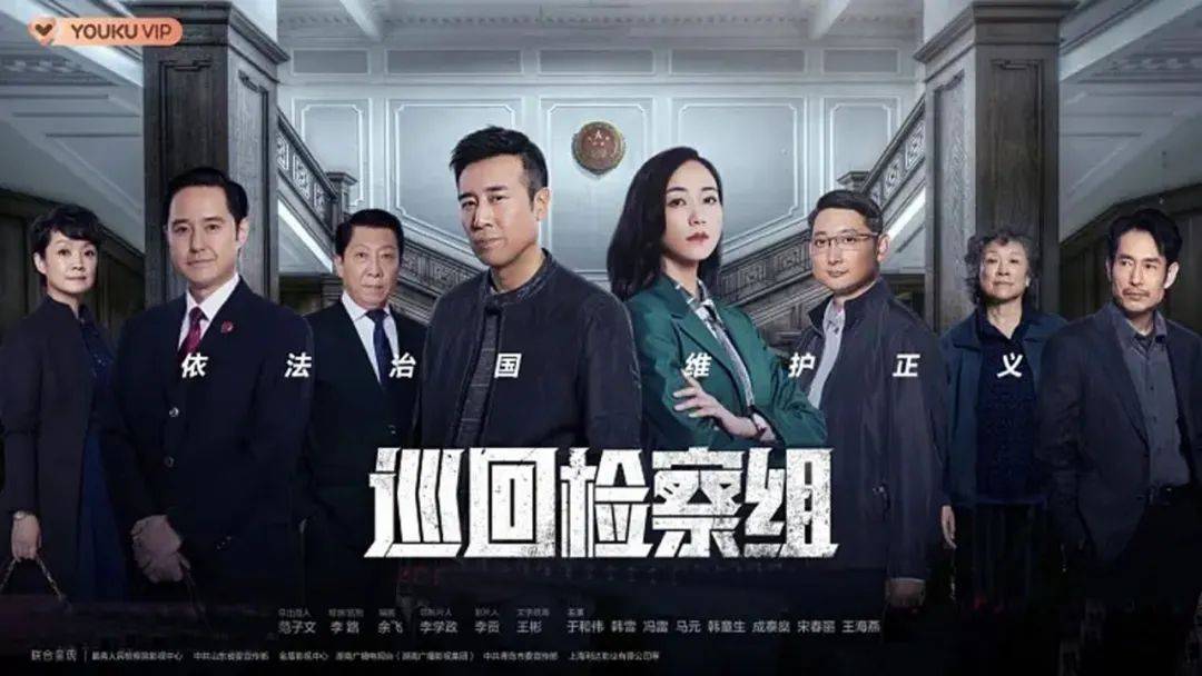 点评电视剧巡回检察组,巡回检察组电视剧一口气看完