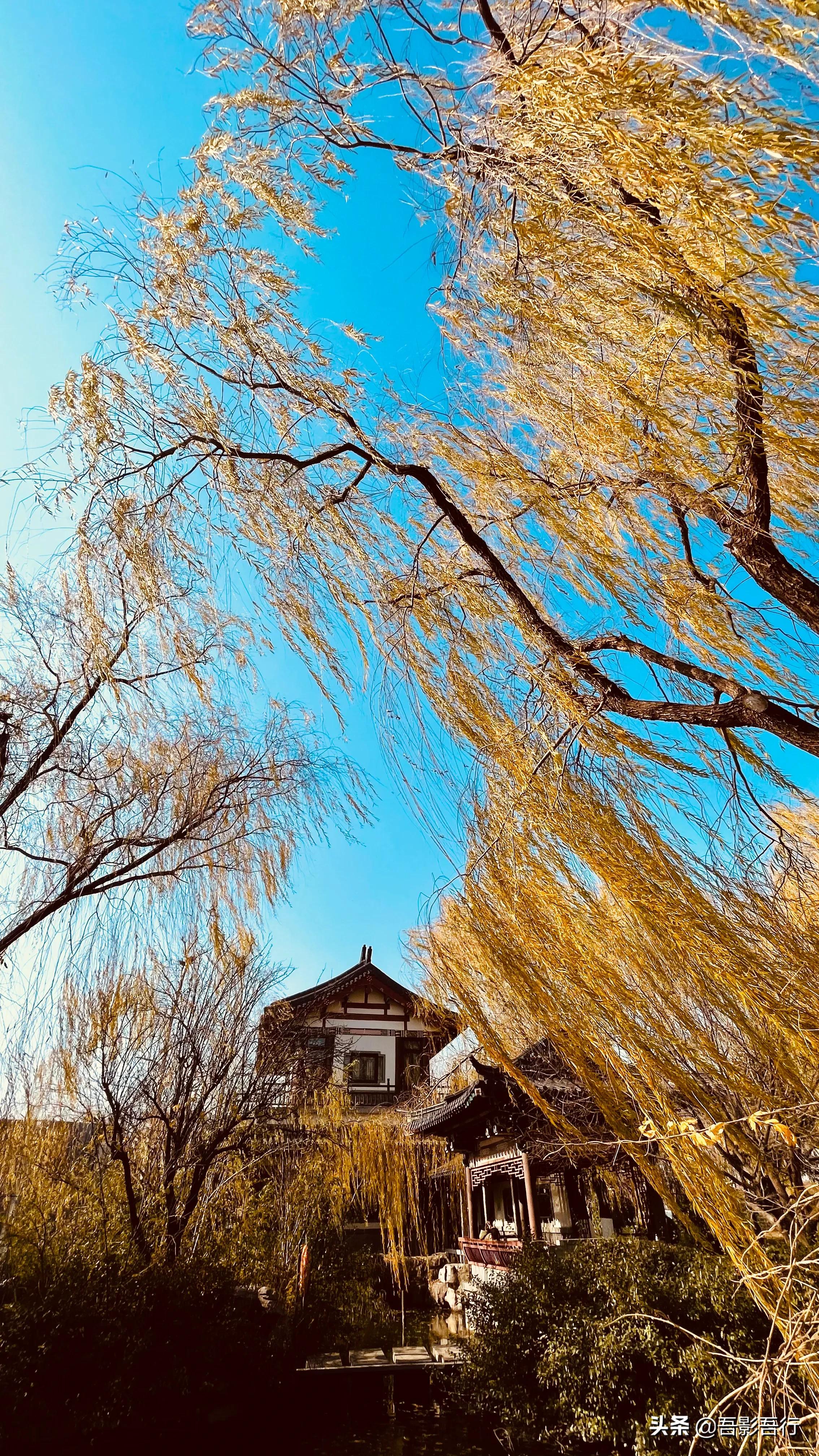 济南大明湖秋冬图片高清,初春大明湖美景图片