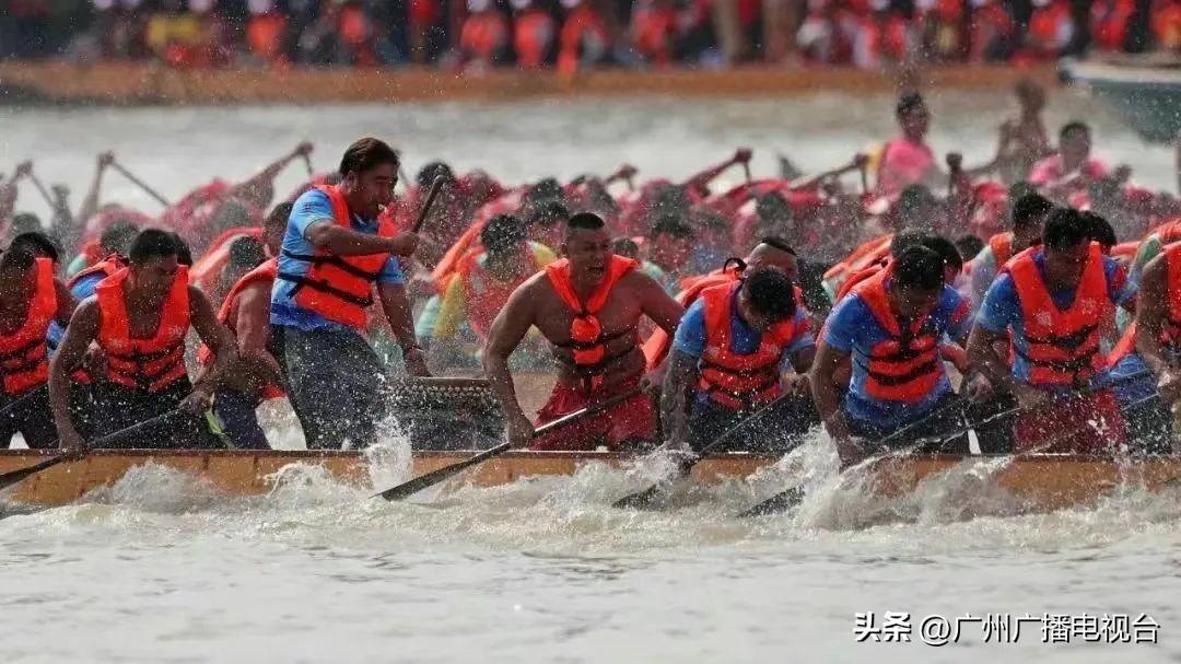 广州多区“睇龙船”超全指南,广东“睇龙船”指南来了