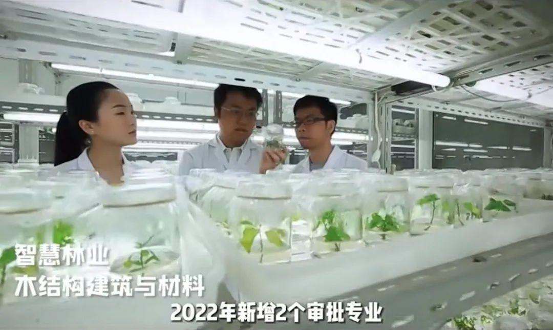 选择南京林业大学的十大理由！