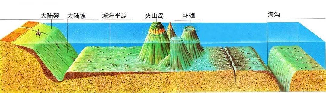 深海真实恐怖巨物,摄魂怪原型冥河水母