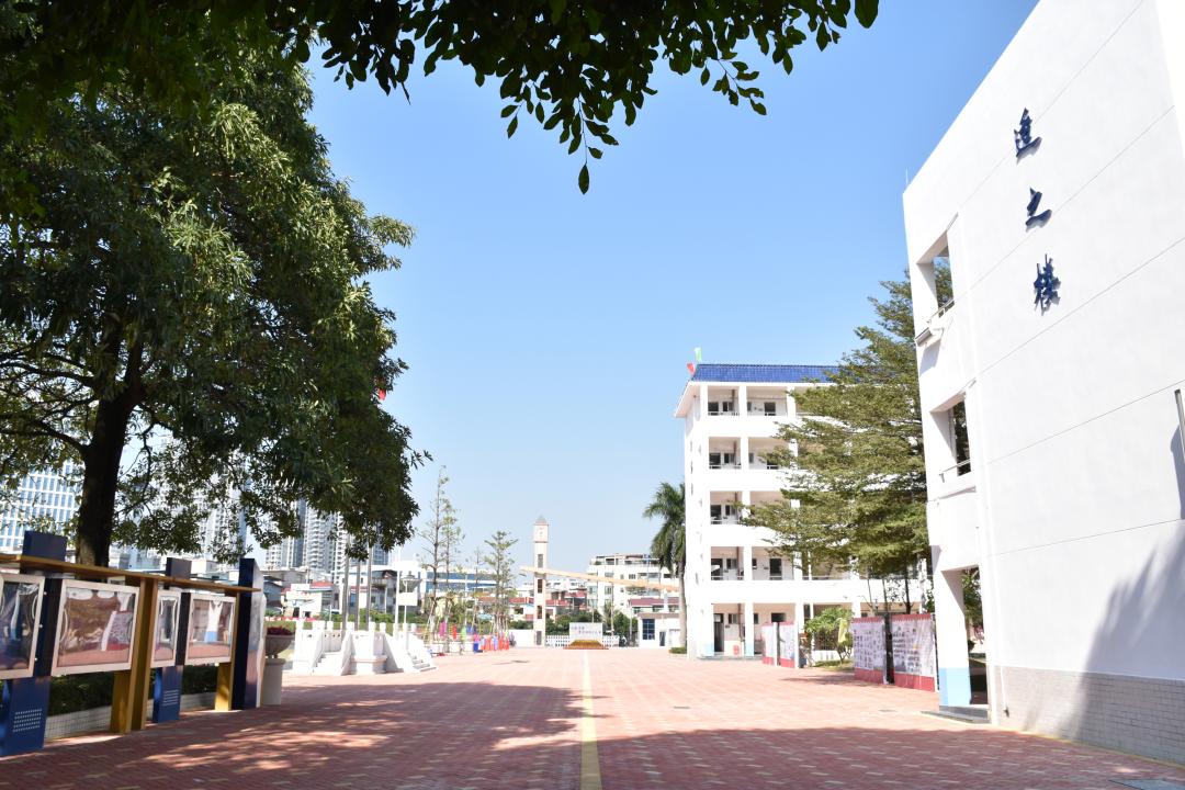 中考志愿普高能报几个学校,中考填报志愿热门专业