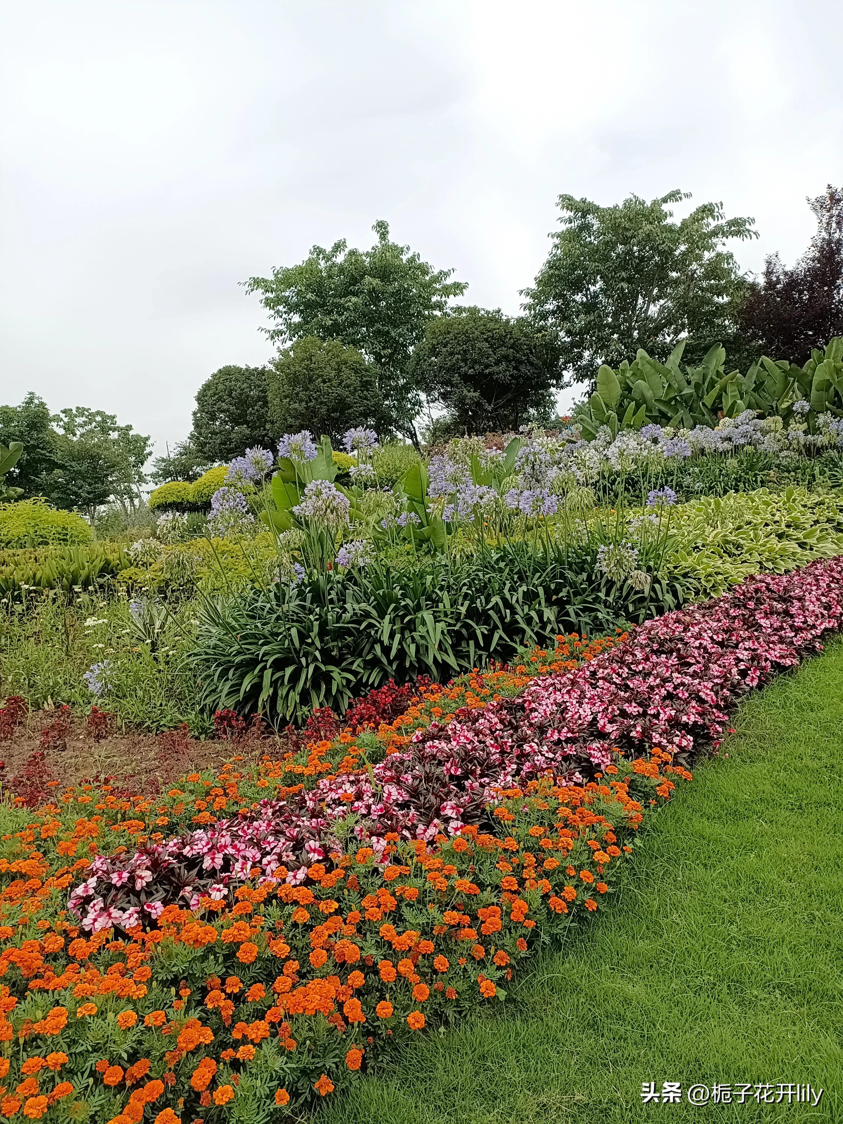 这周末可以在成都哪些地方玩,周末成都有哪些值得去的地方