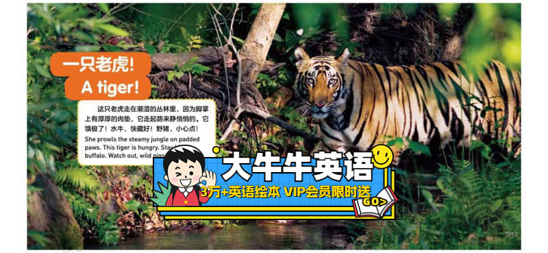 Tigers3~6岁英语启蒙绘本