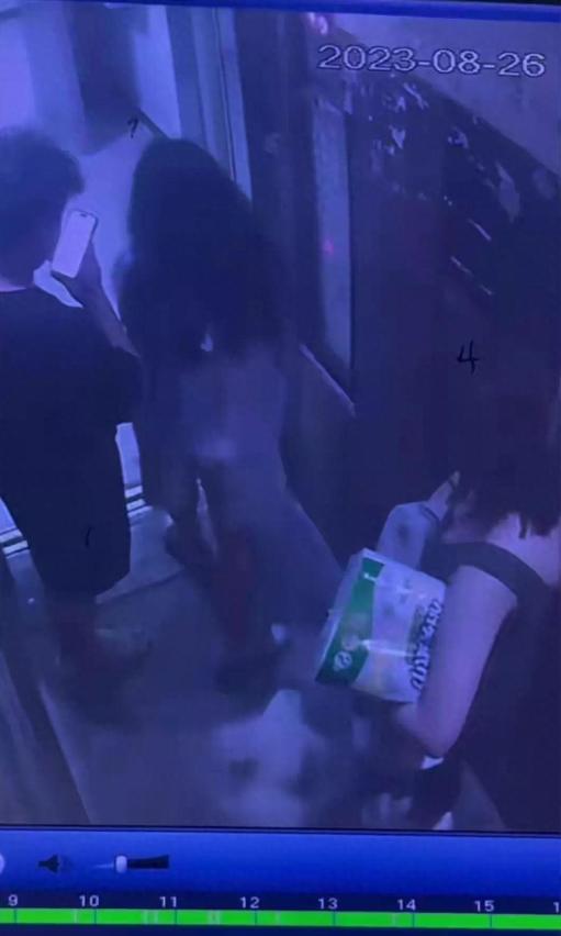 女子电梯内被大型犬咬死,女子在电梯内被自家狗撕咬