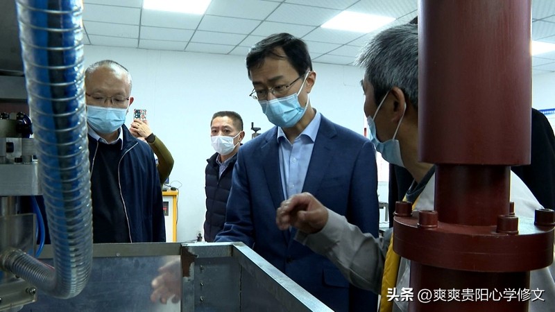 鏋楀钩璐靛窞,鏋楀钩璐甸槼