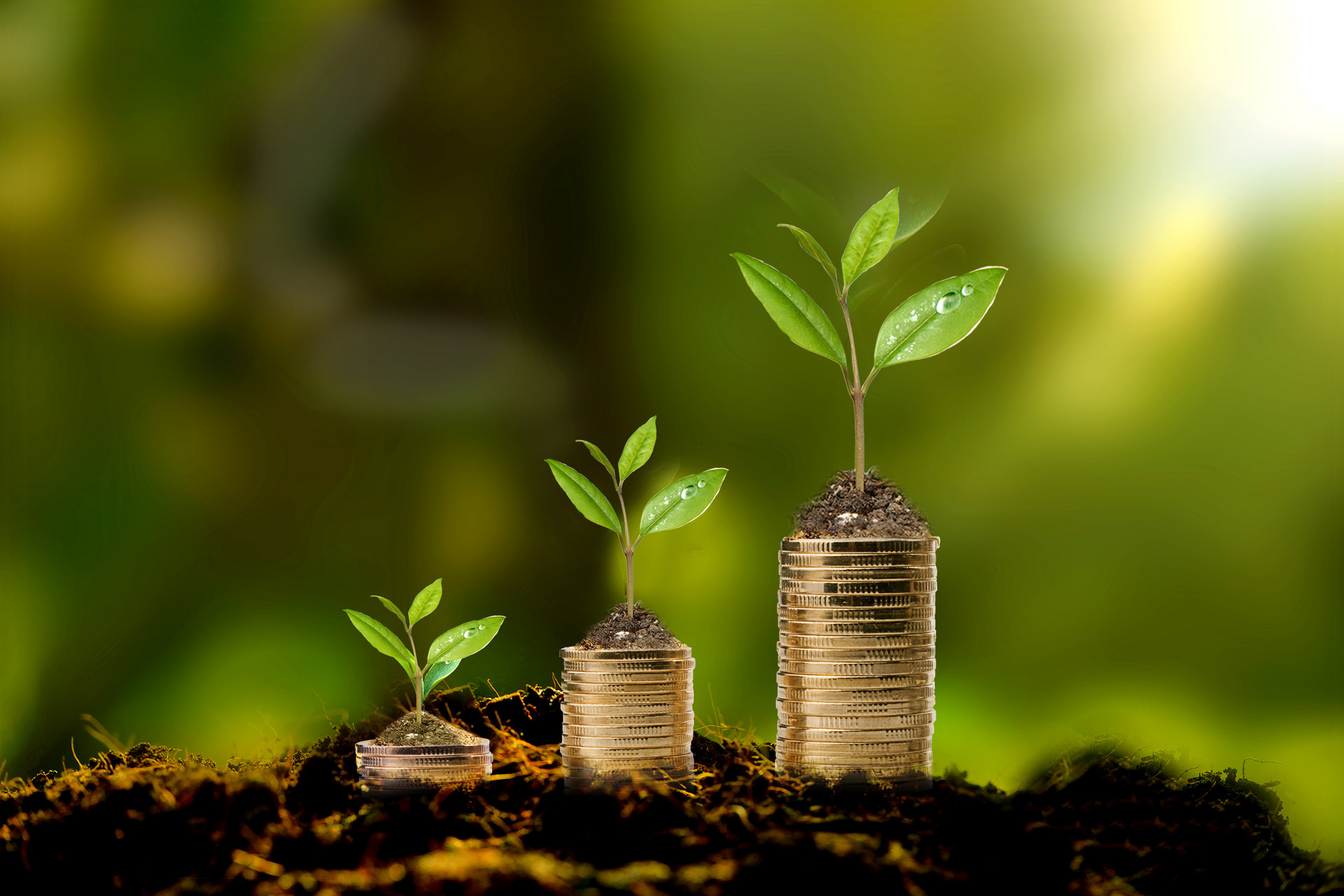 工资低适合下班做的6大副业,下班后适合做的副业有哪些